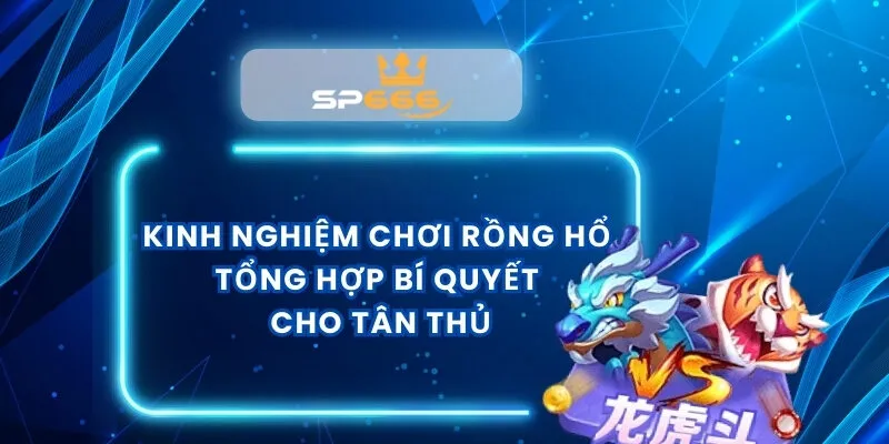 Kinh Nghiệm Chơi Rồng Hổ