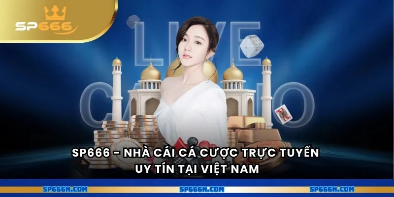 SP666 - Nhà cái cá cược trực tuyến uy tín tại Việt Nam