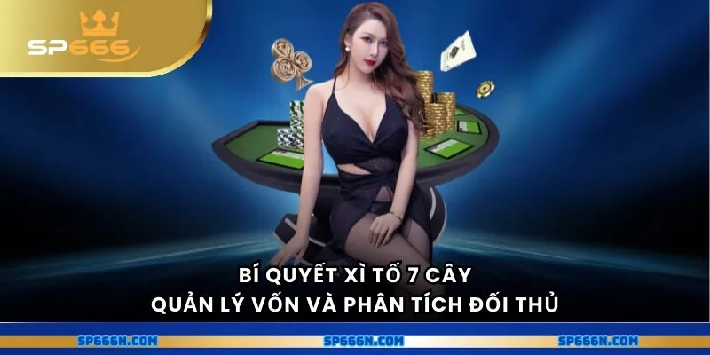 Bí quyết xì tố - Quản lý vốn và phân tích đối thủ